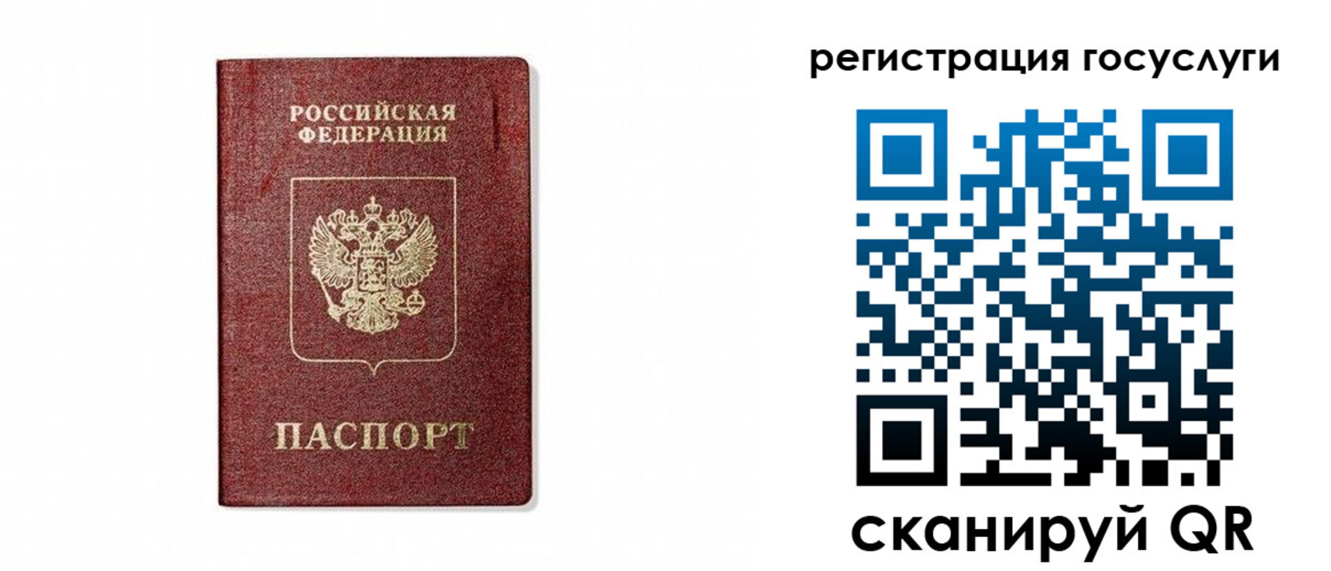 прописка паспорт в Чкаловске